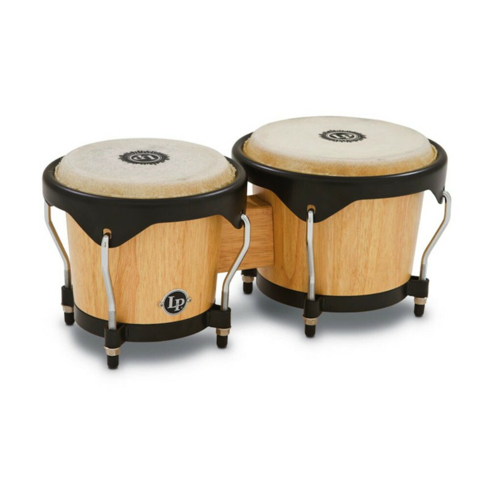 楽天市場】BONGO（楽器・音響機器）の通販