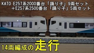 鉄道模型Nゲージ KATO E257系2000番台・2500番台「踊り子」9両+5両の