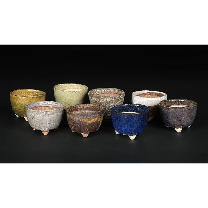 盆栽鉢 山野草鉢 「信楽焼楽風ミニ鉢8点セット」 植木鉢 陶器 2号 7cm