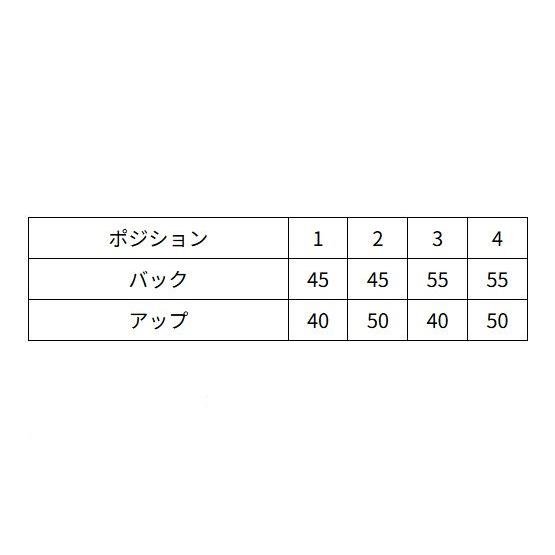 ドレミコレクション 20251 ライディングステップ ブラック ゼファー750