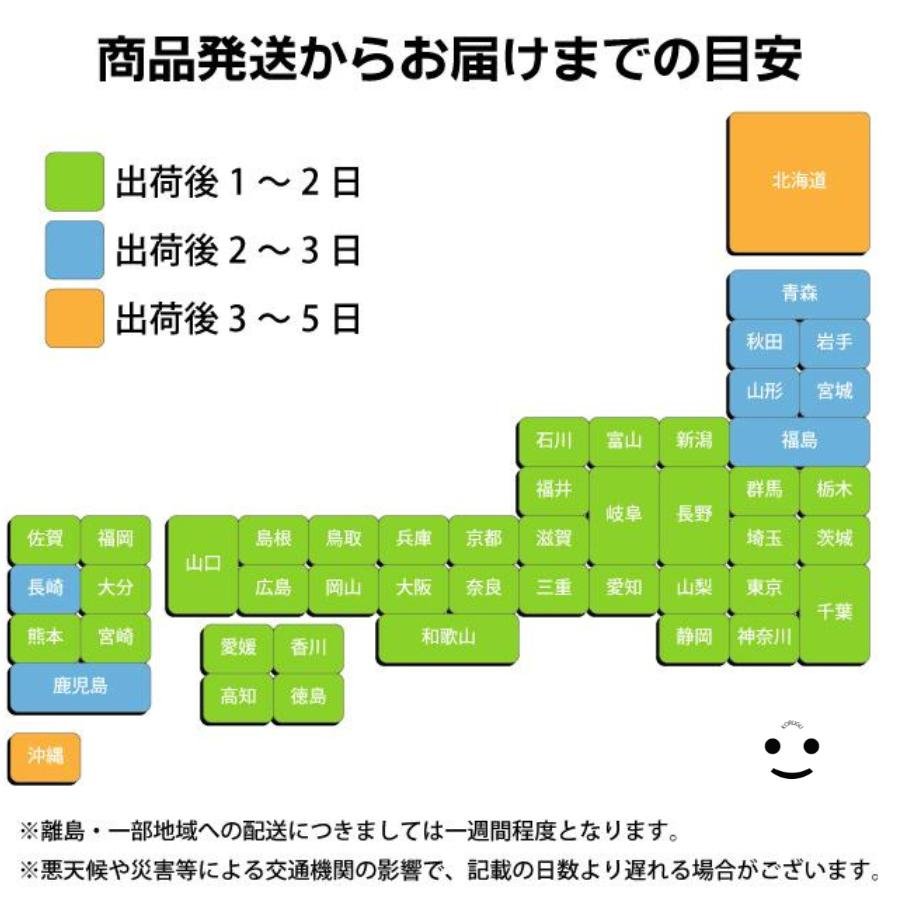 ポケモンカードゲーム マクドナルド ピカチュウ プロモカードパック