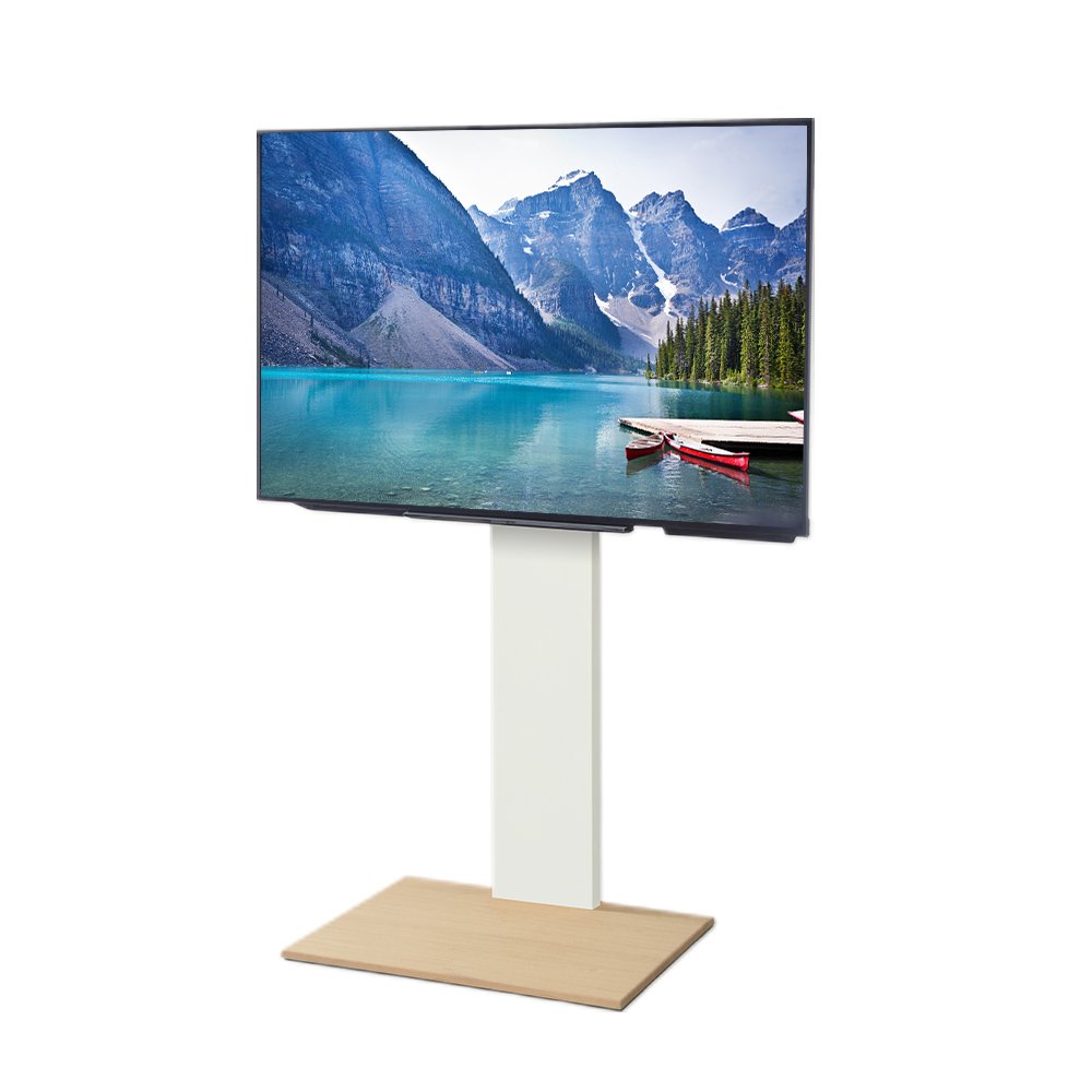 EQUALS（イコールズ） テレビ台 WALL 壁寄せ テレビスタンド V2E ロー