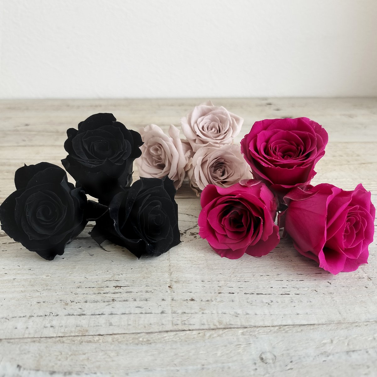 即日☆【プリザーブド】大地農園/いずみ ローズカラーアソート9輪