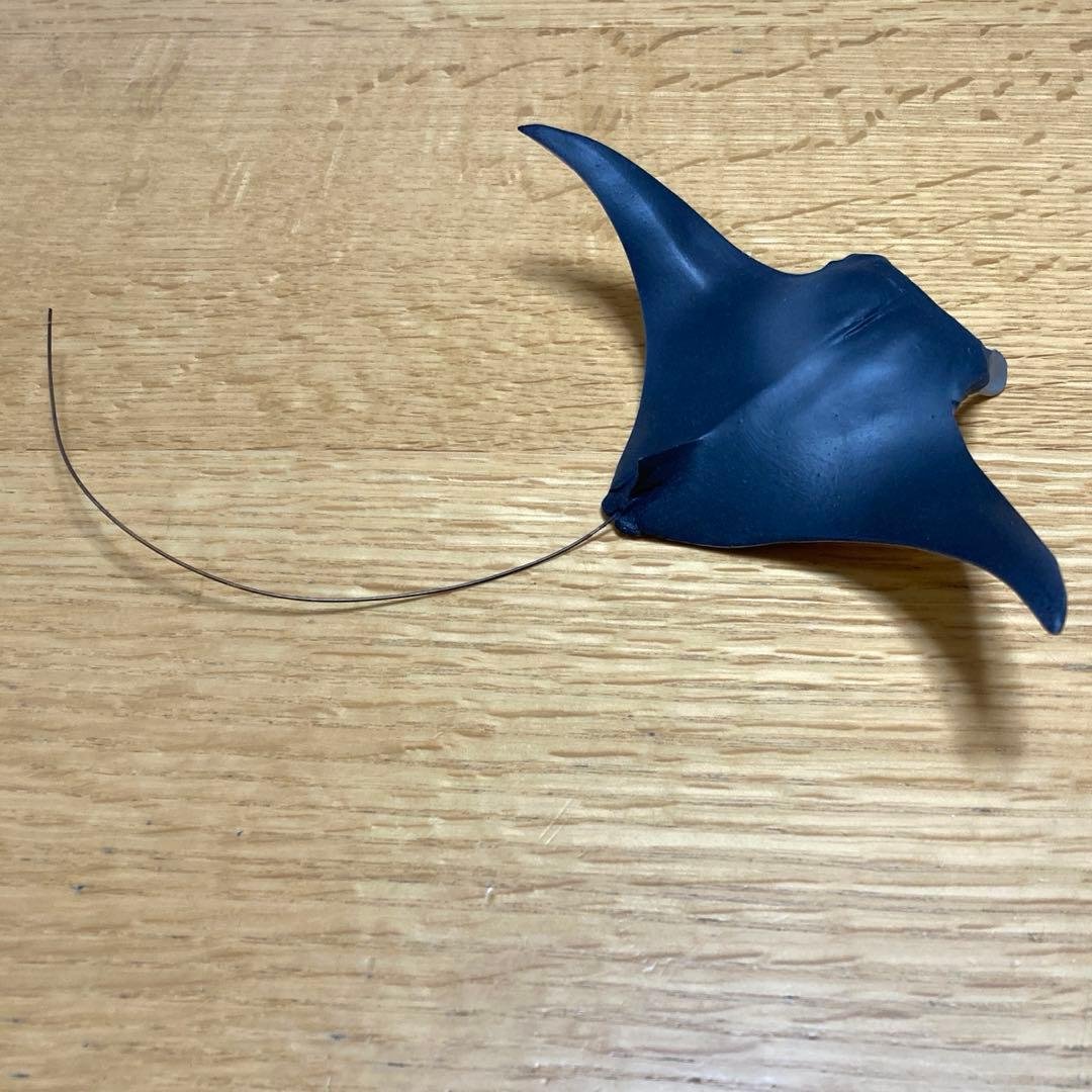 オニイトマキエイ　海洋堂 KAIYODO アクアランド　AQUALAND 水生生物モデルコレクションAQUALAND その4